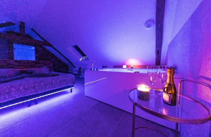 L'Evasion-Spa-Hammam-Sauna Illimite - 2 A 4 Pers Saint-Cyr-sur-Loire Kültér fotó